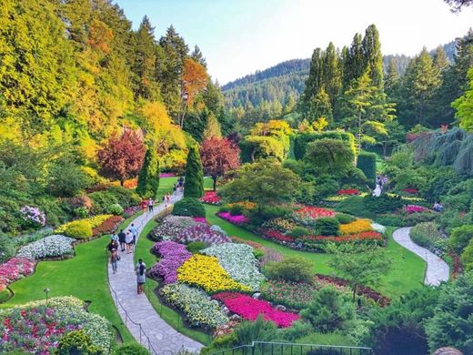 Butchart Gardens