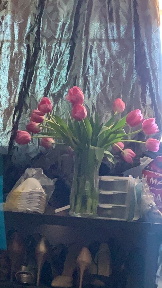 Social Los tulipanes son lo mas hermoso😍🥰