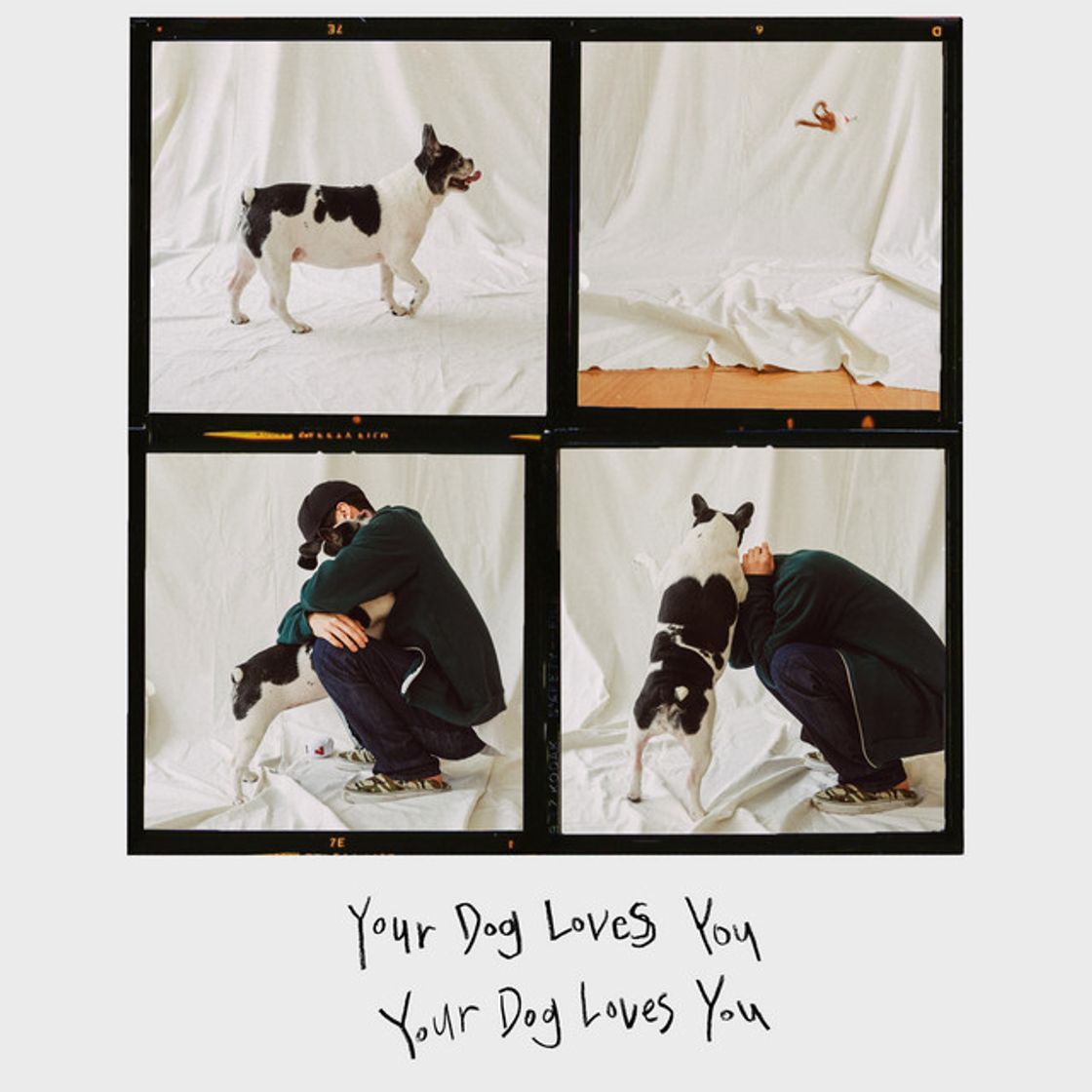 Canción Your Dog Loves You