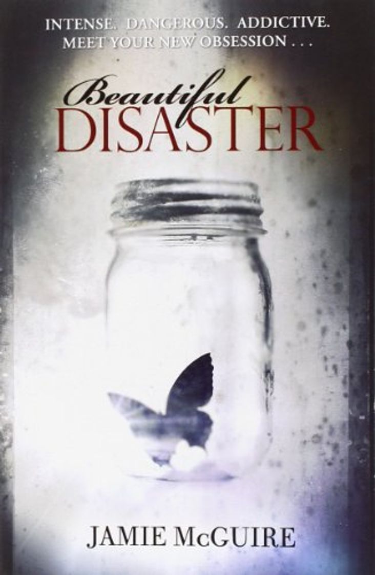 Book Beautiful Disaster