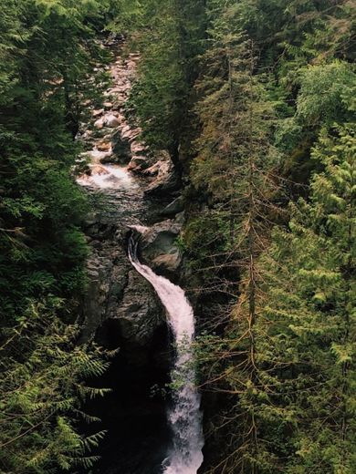 Lynn Canyon Park