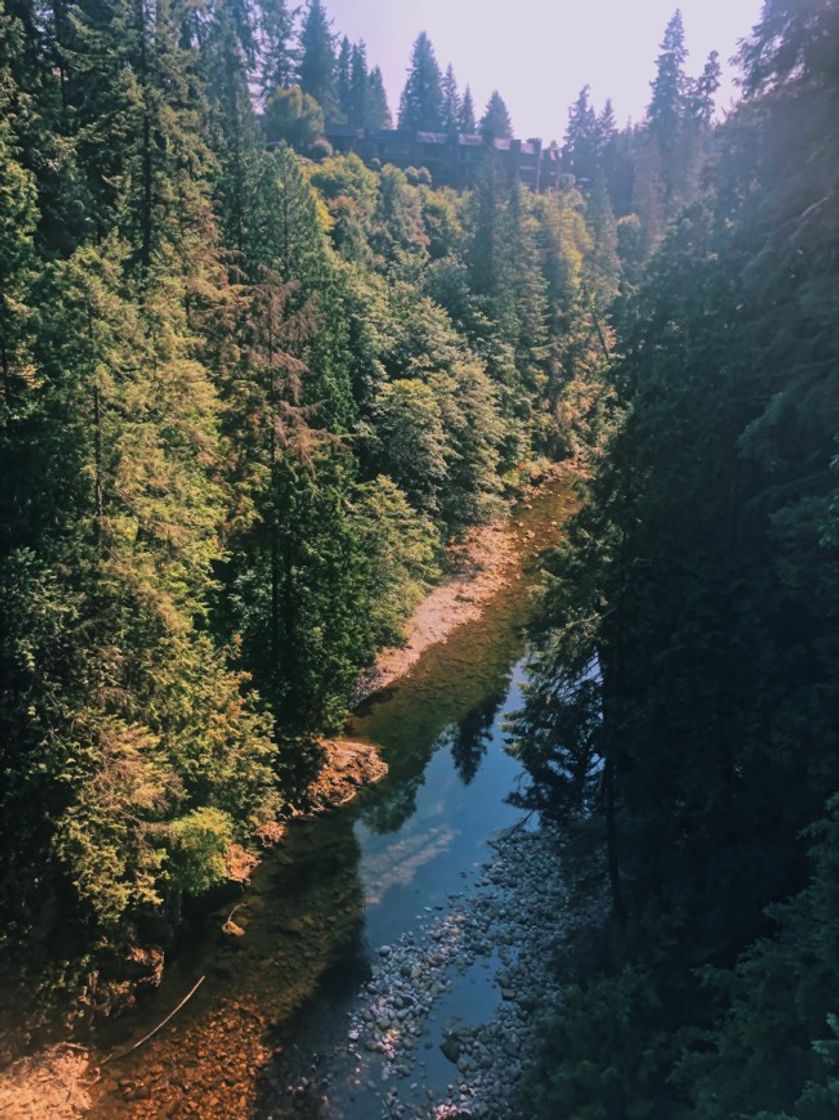 Lugar Capilano Suspension Bridge