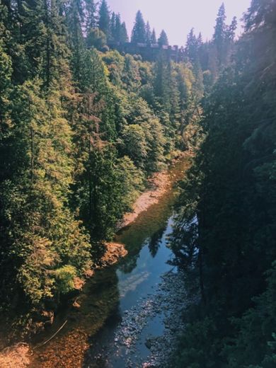 Capilano Suspension Bridge