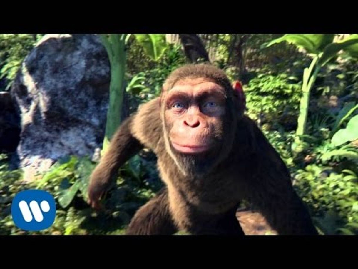Social Coldplay - Adventure Of A Lifetime (Official Video) - YouTube