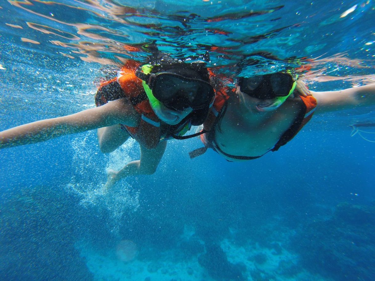 Social Cozumel ..15 cosas que hacer 