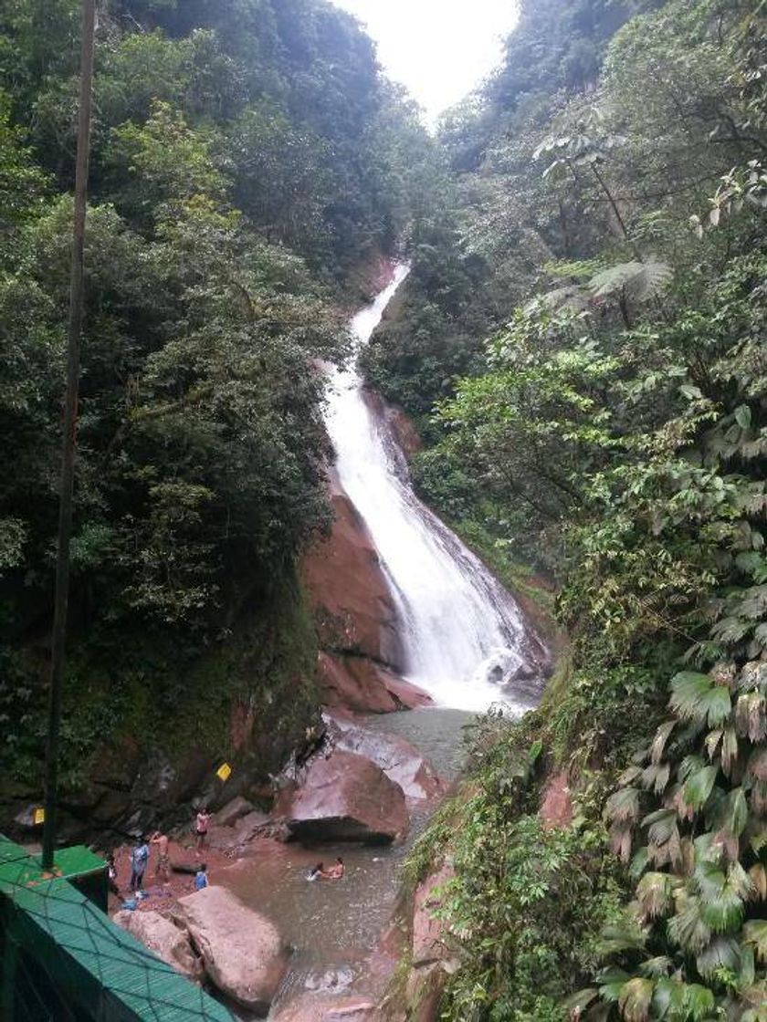 Social ❤️Velo de la novia (Aguaytía) ❤️