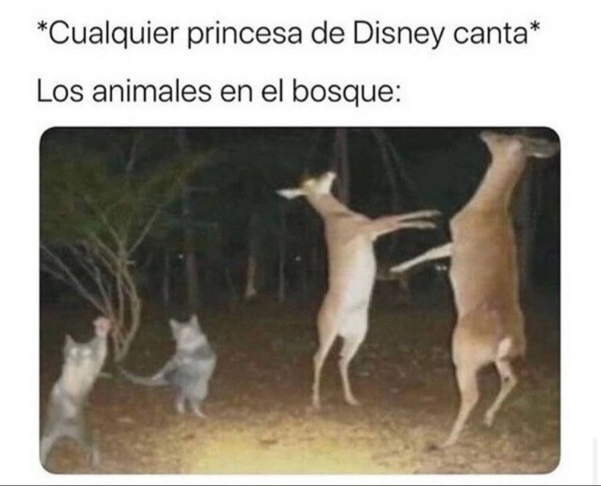 Social Ig de memes y vídeos virales