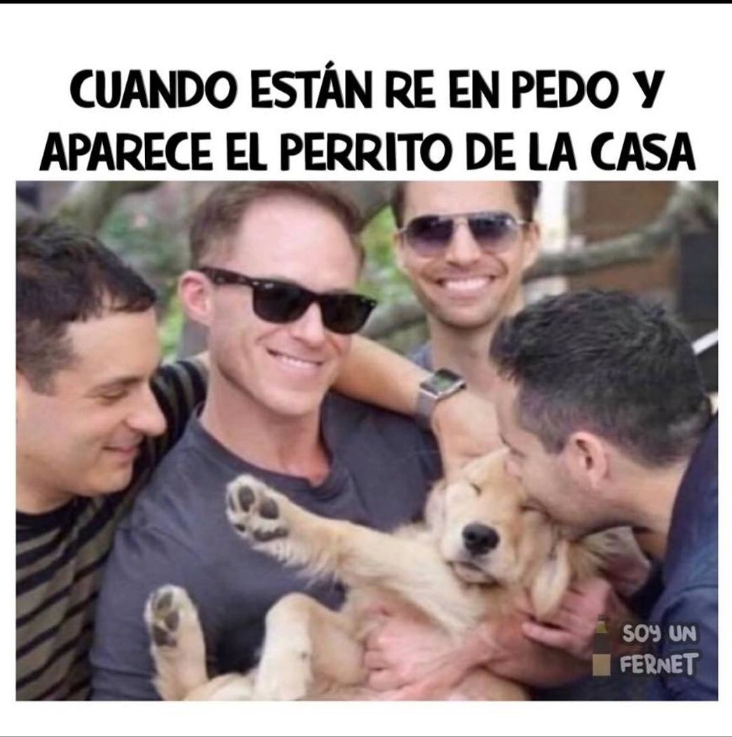 Social Ig de memes