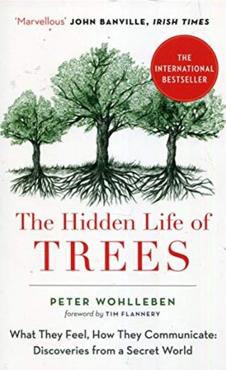 The Hidden Life of Trees: The International Bestseller