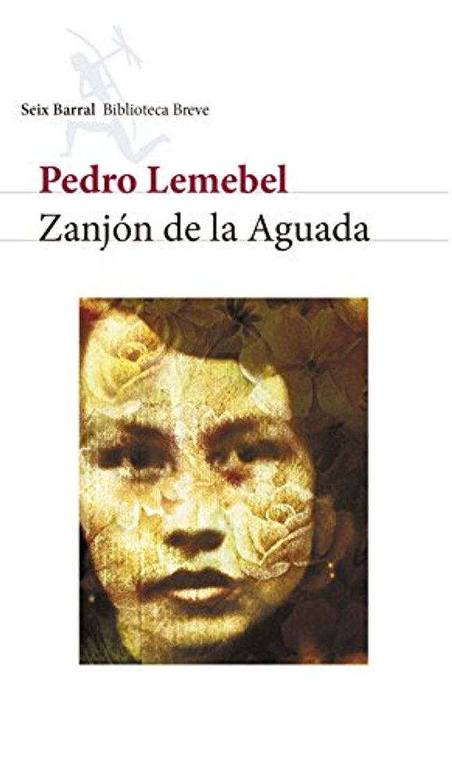 Libro Zanjón de la Aguada