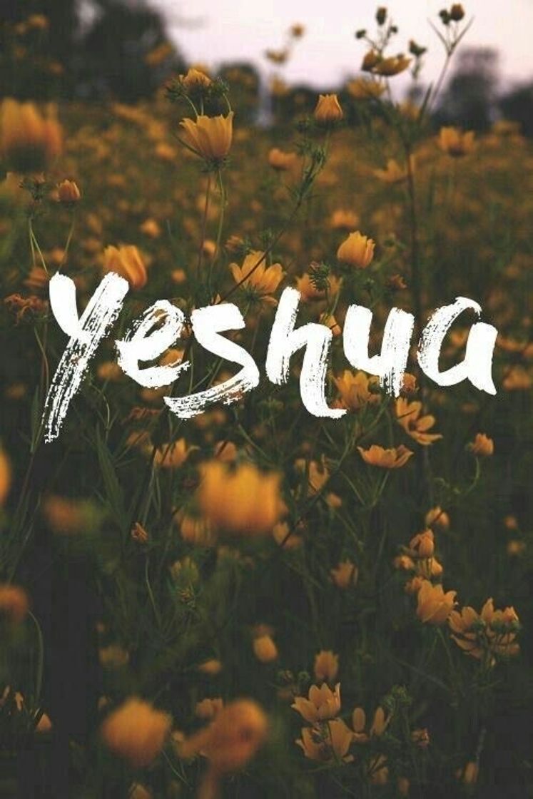 Fashion Yeshua ❤️