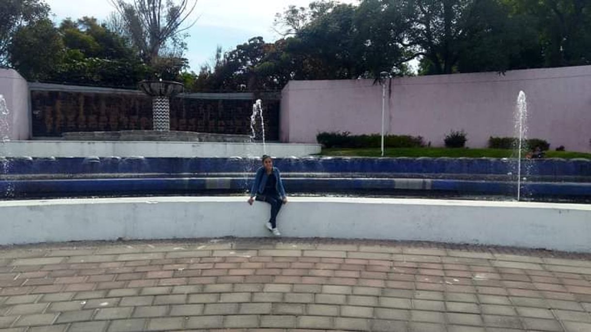 Place Guadalajara