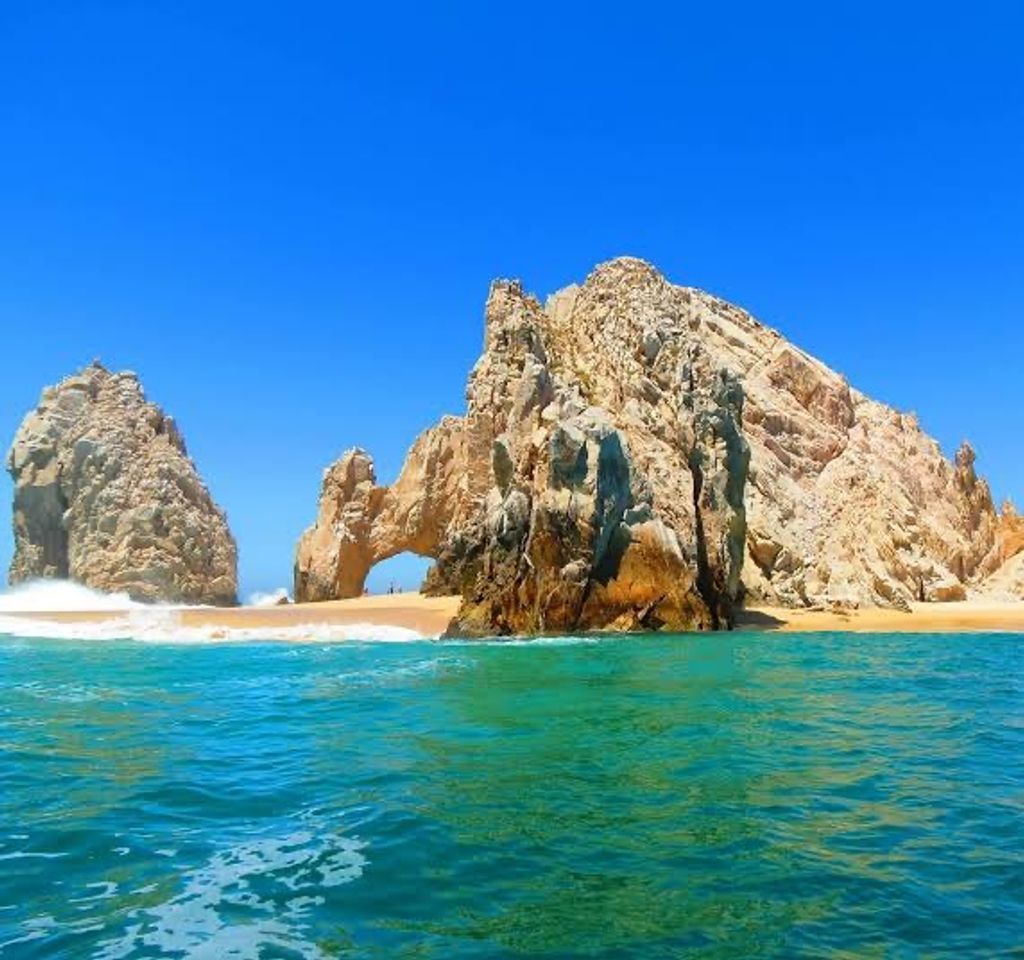 Place Los Cabos