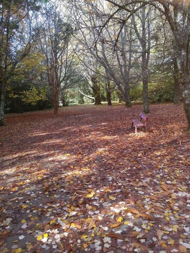 Jardín botánico UACH Valdivia. Marzo 2019