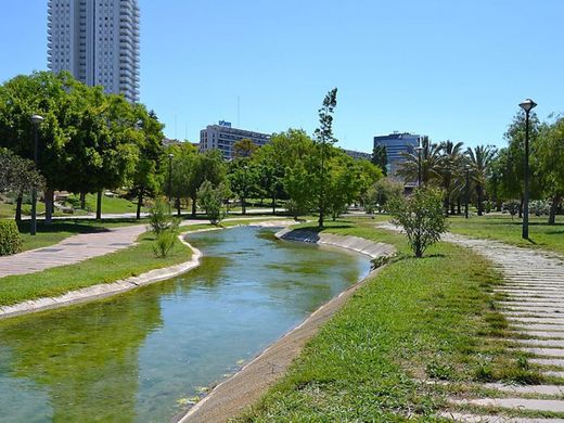 Jardín Del Turia