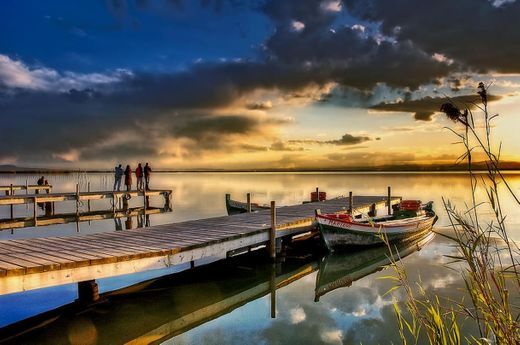 Parc Natural De l'Albufera