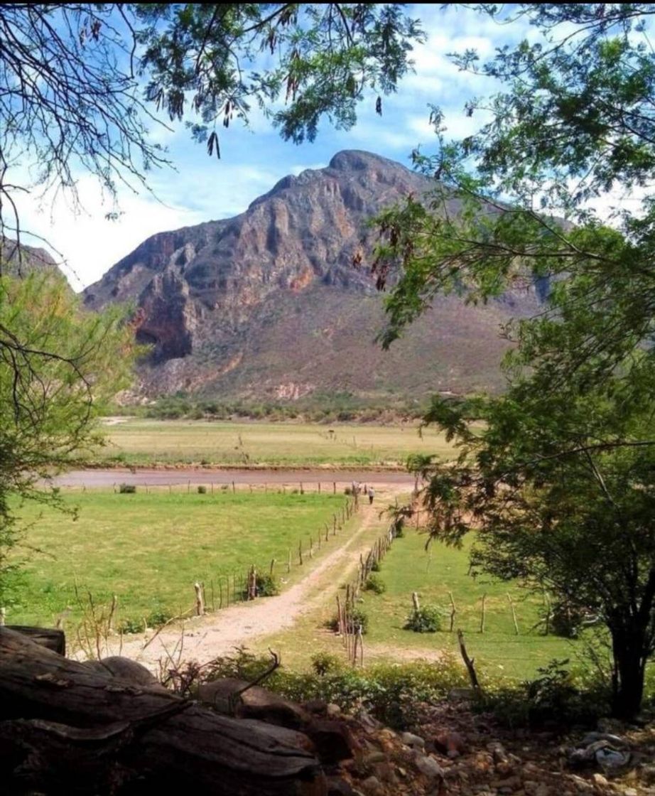 Place San Pedro de la Cueva