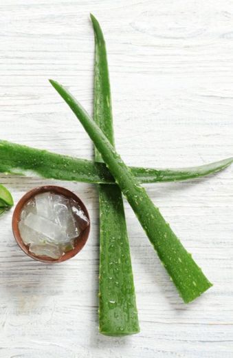 CONGELA TU ALOE VERA 🌿✨