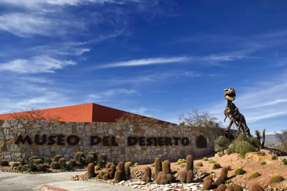 Lugar Museo del Desierto