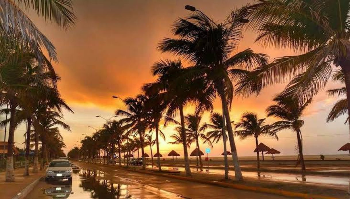 Places MALECÓN COSTERO "NELSON BARRERA ROMELLÓN"