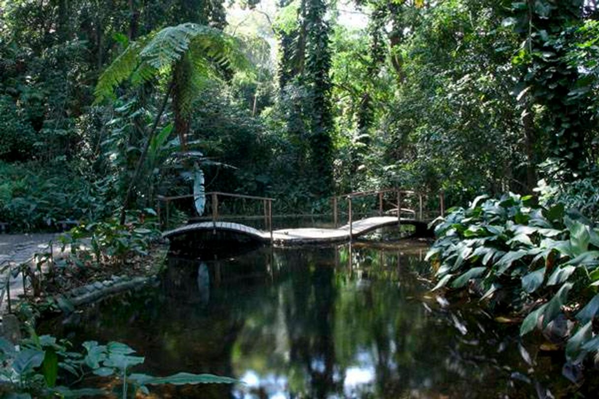 Lugar Jardín Botánico La Laguna