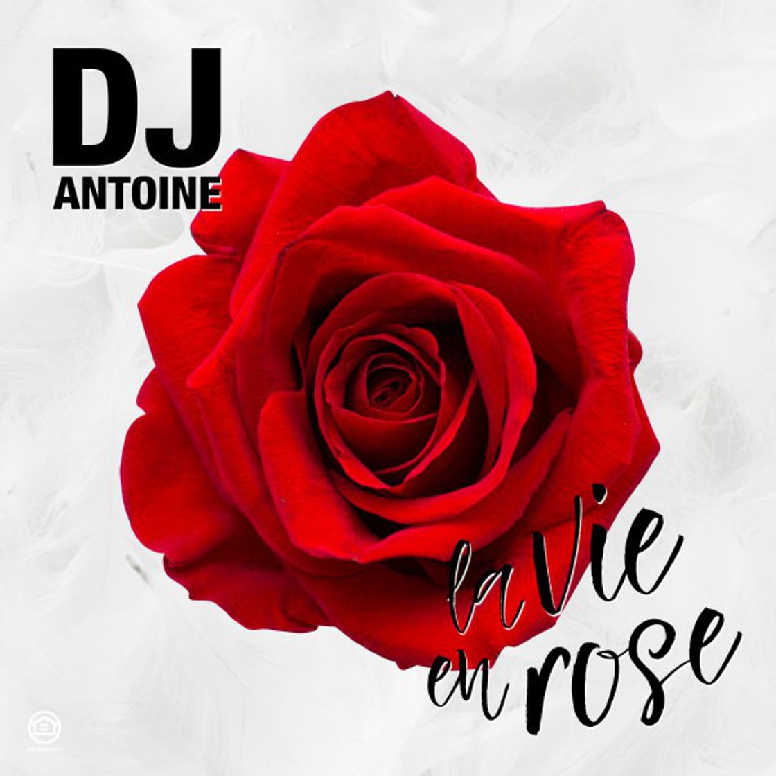 Music La Vie en Rose - DJ Antoine Vs. Mad Mark 2k17 Mix