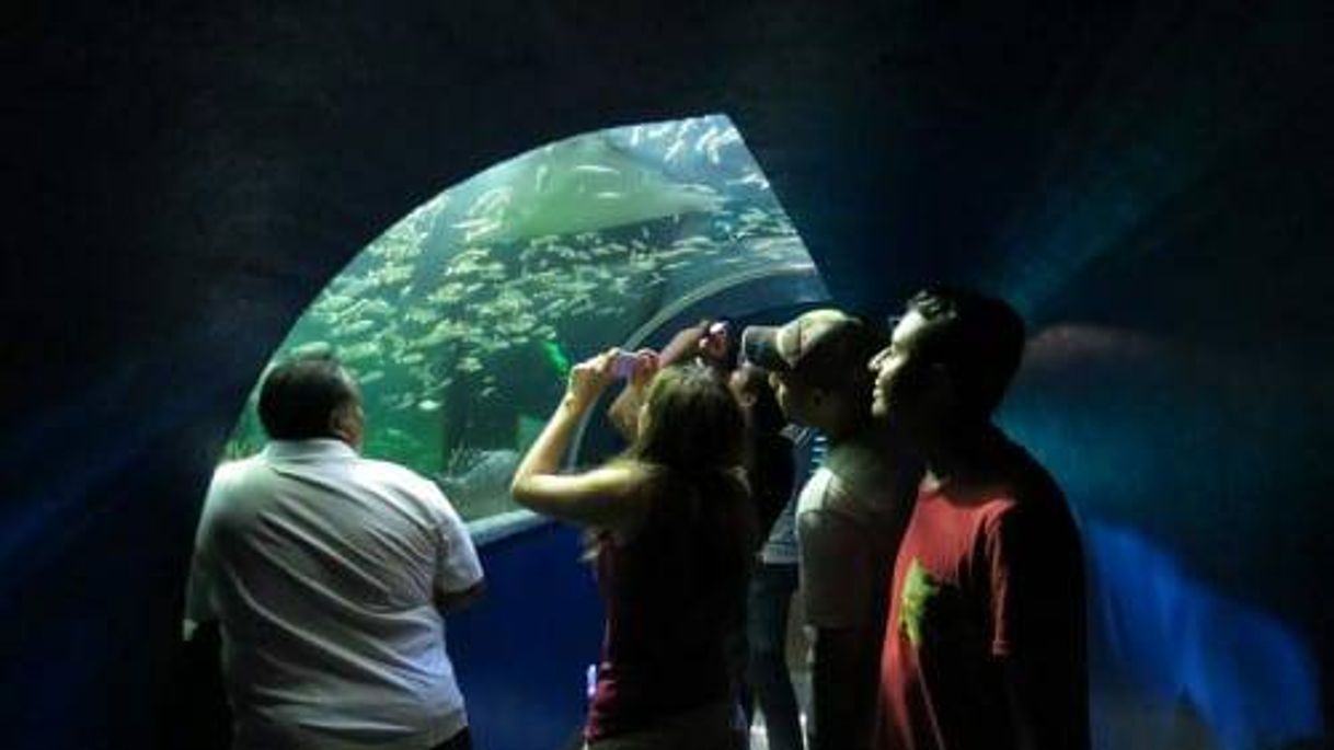 Lugar Acuario de Veracruz