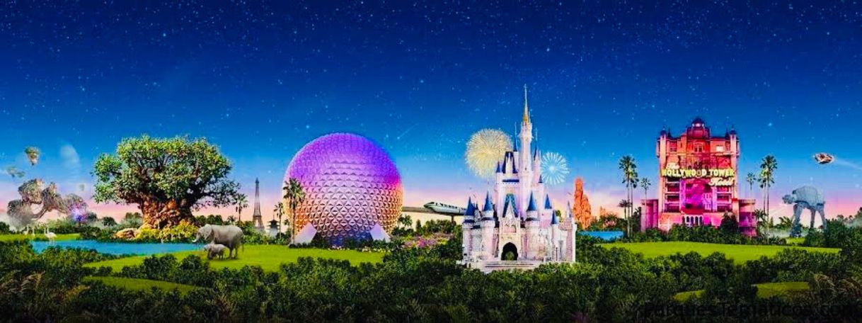 Lugar Walt Disney World