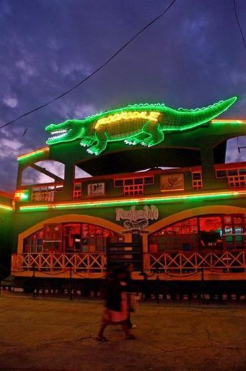 Rockodile Bar and Nightclub