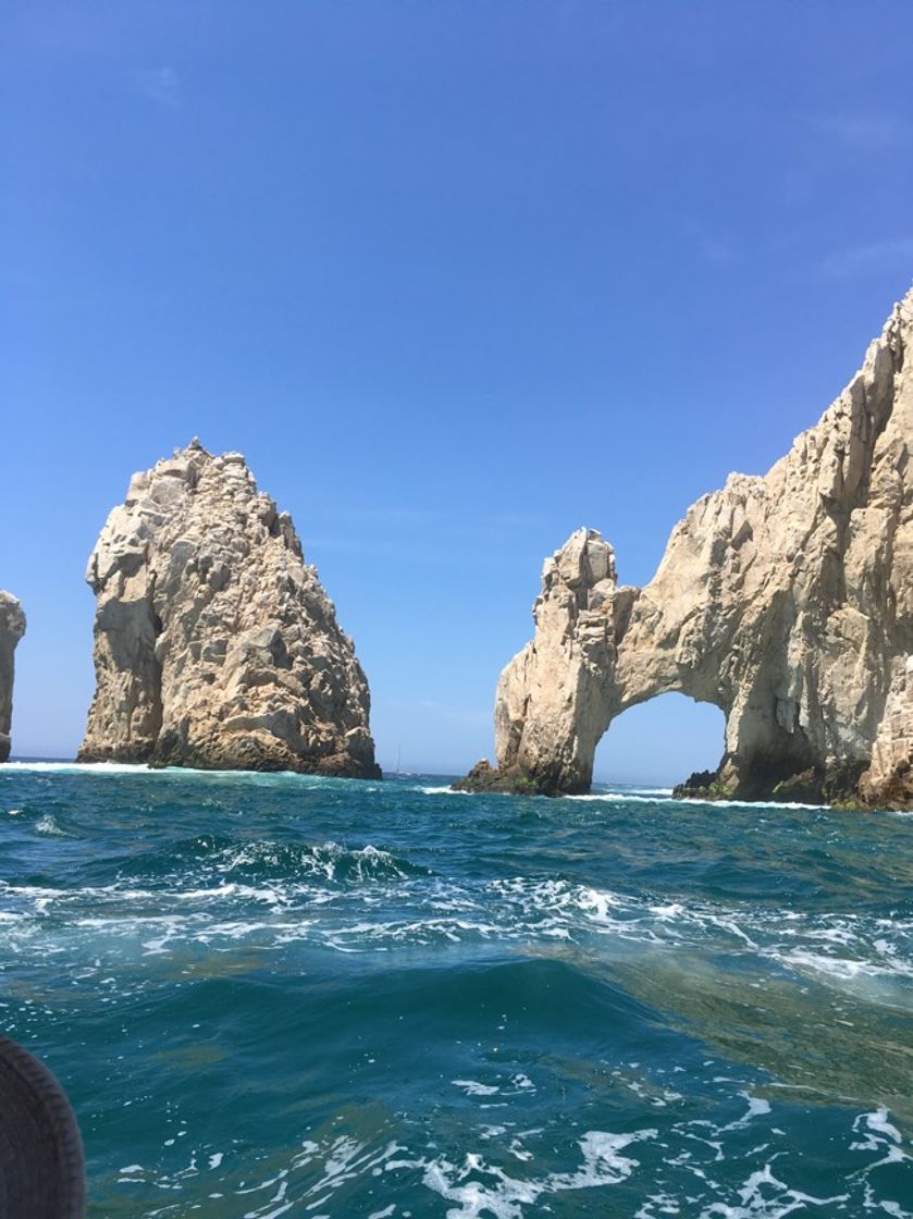 Place Los Cabos