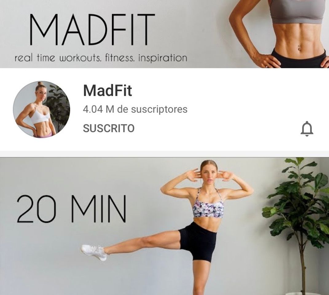 Moda Madfit