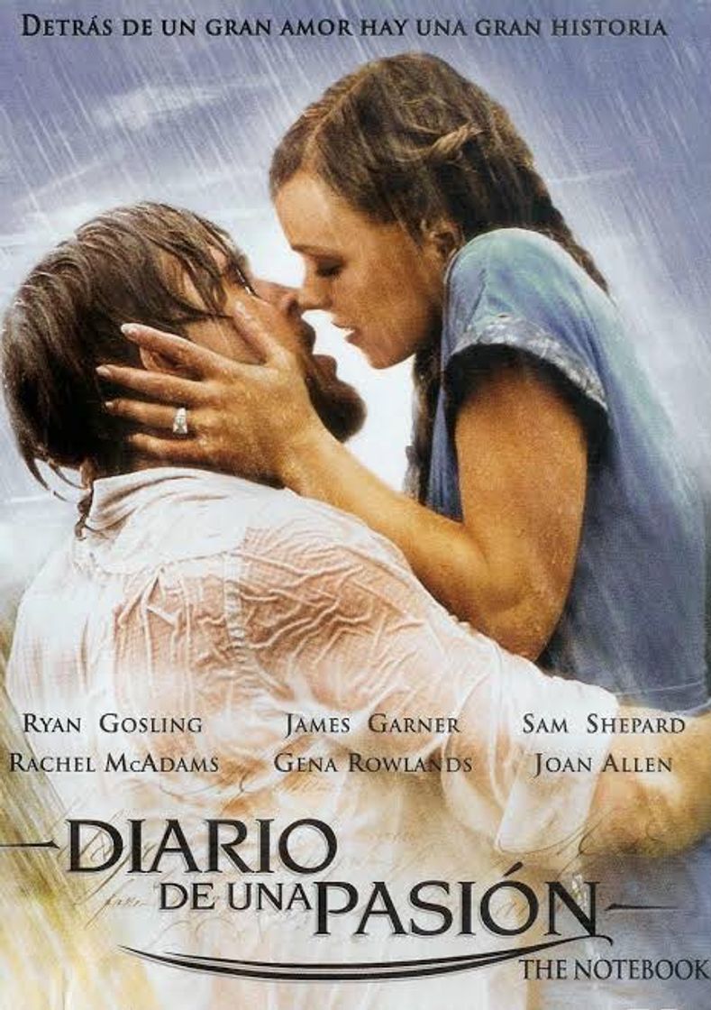 Película Diario de una pasión / The Notebook 2004