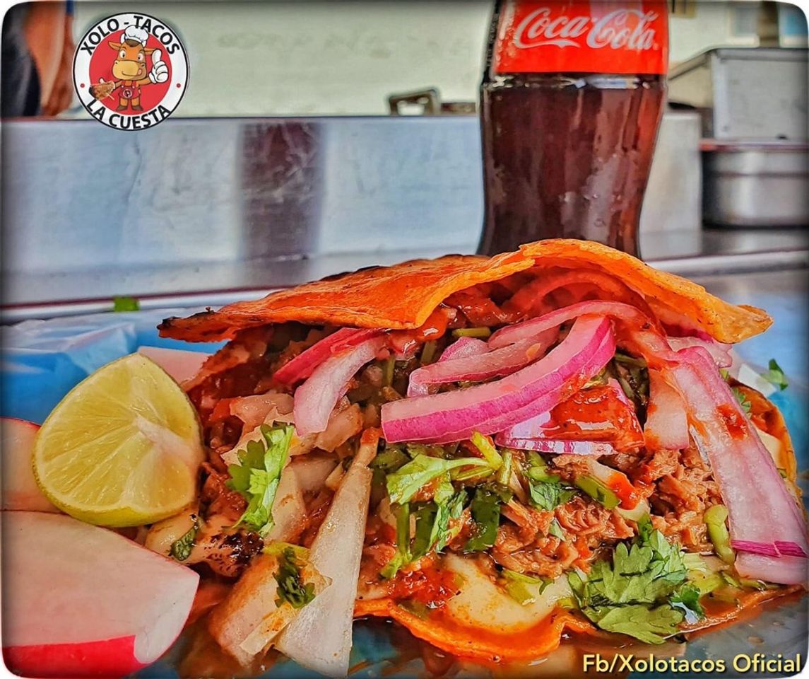 Restaurantes Xolo Tacos La Cuesta