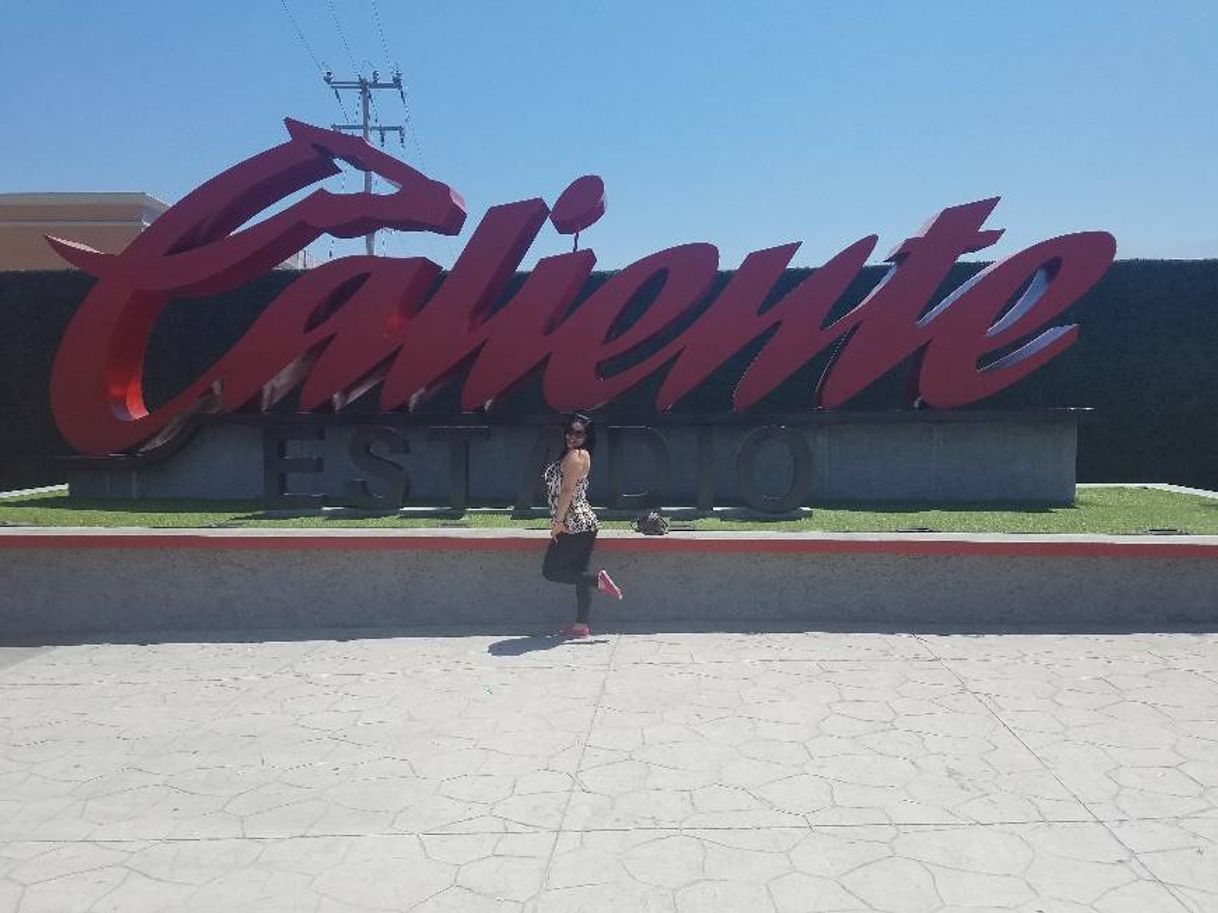 Lugar Estadio Caliente