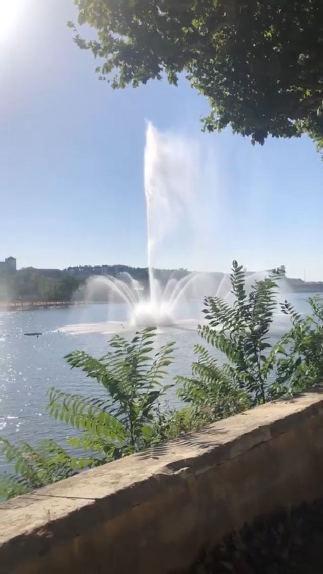 Lugar Parque Verde