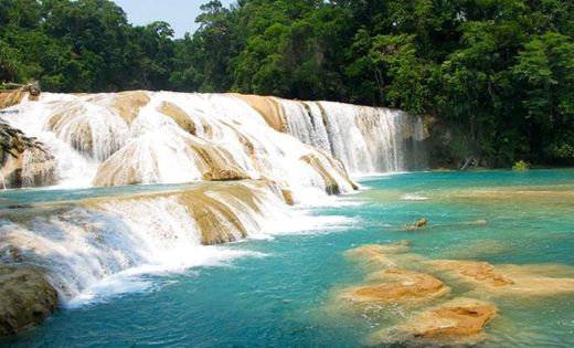 Cascadas de Agua Azul