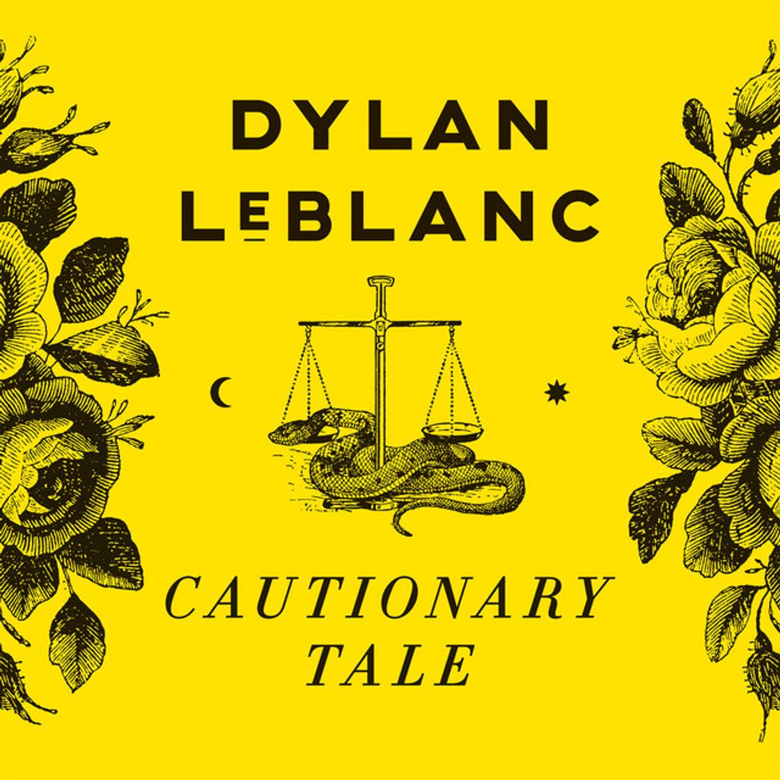 Music Cautionary Tale