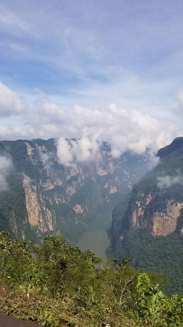 Place Cañon Del Sumidero