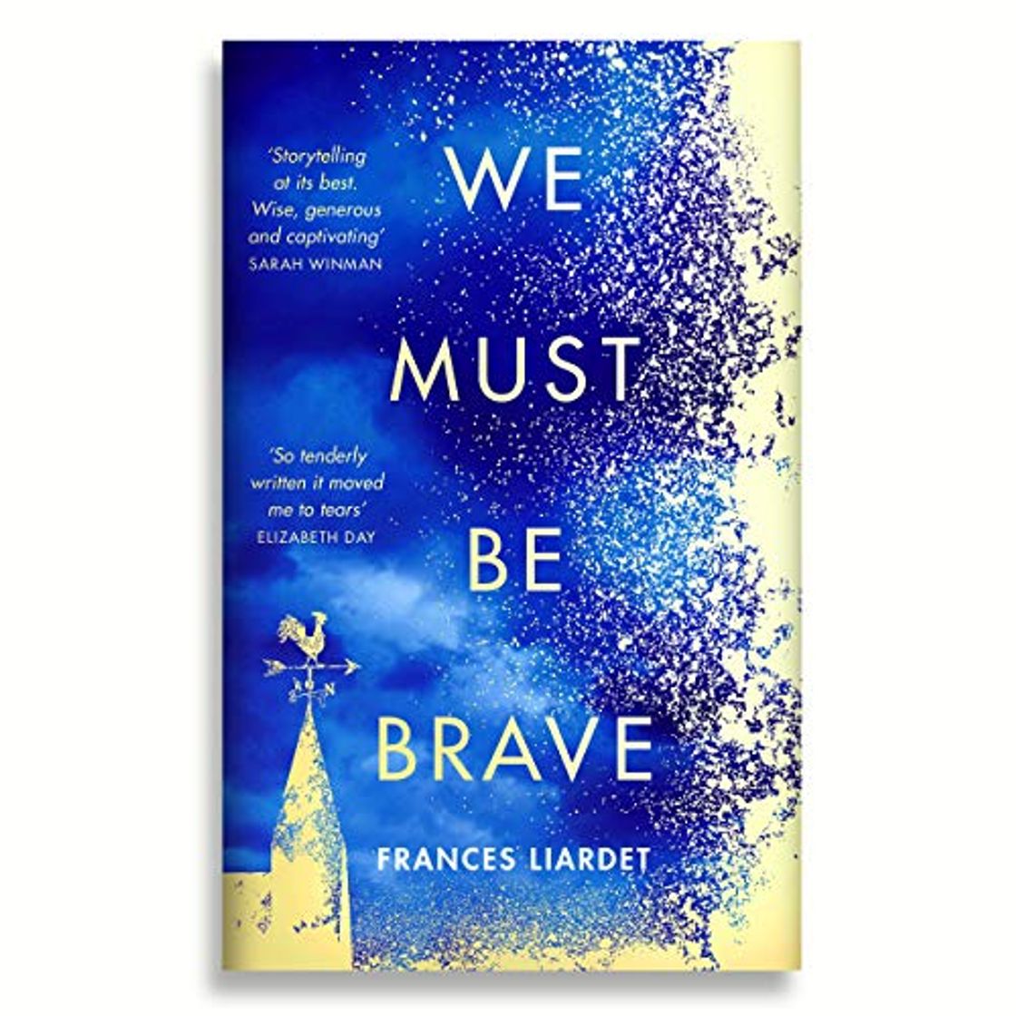 Libro We Must Be Brave: ‘The best, most moving novel of the year’ Bel Mooney, Daily Mail