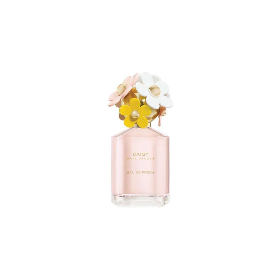 Social Daisy Marc Jacobs 