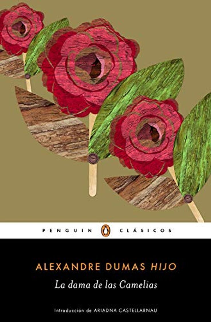 Libro La dama de las camelias