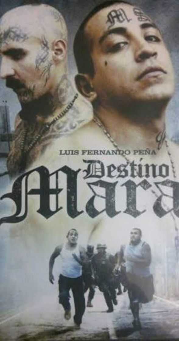 Película Destino Mara