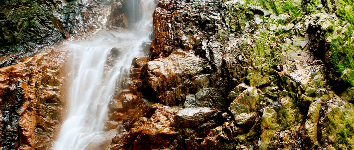 Lugar Sendero las Golondrinas