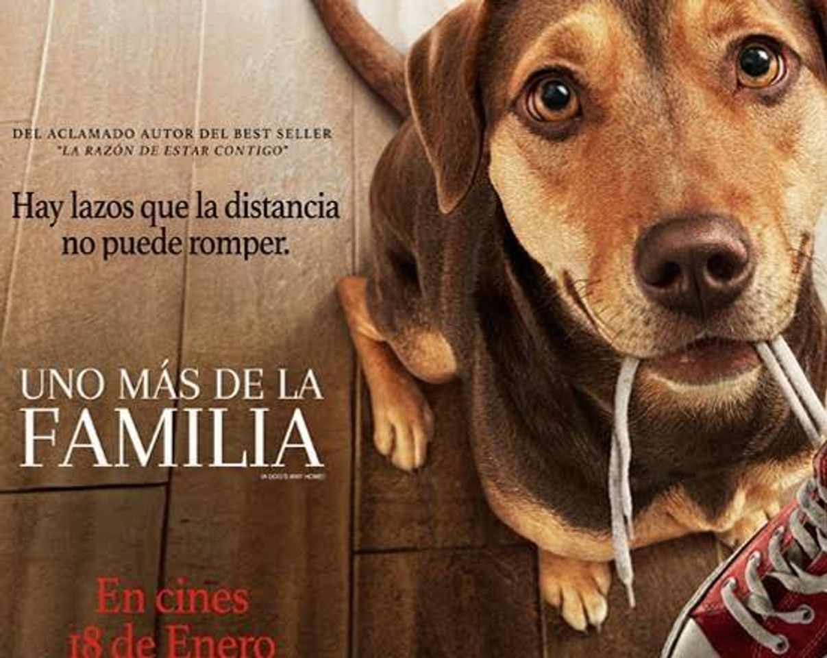 Película Uno más de la familia