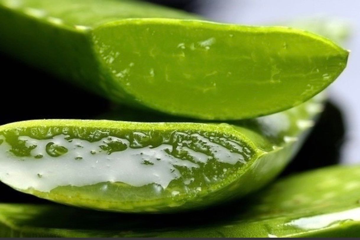 Moda Sábila / Gel de Aloe Vera 