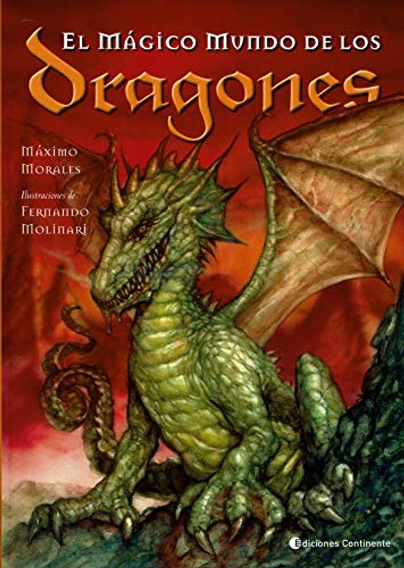 Libro EL MÁGICO MUNDO DE LOS DRAGONES