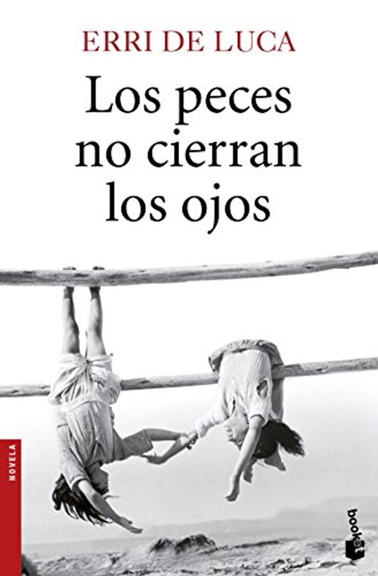 Book Los peces no cierran los ojos