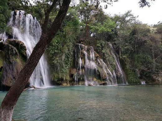 Cascadas de Tamasopo