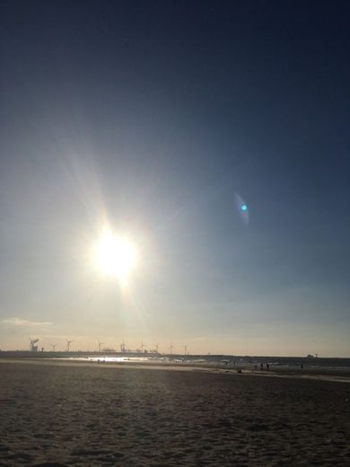 Hoek Van Holland Strand