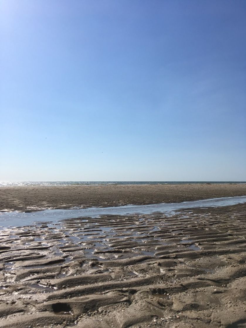 Places Maasvlaktestrand